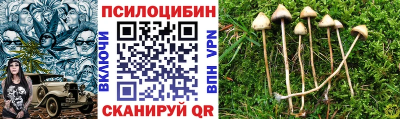 Купить  Хвалынск  Галлюциногенные грибы Magic Shrooms 